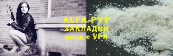 эйфоретик Богданович