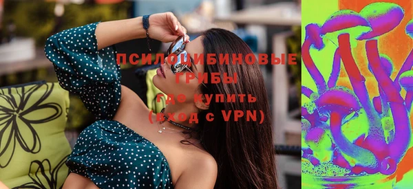 гашик Богородицк