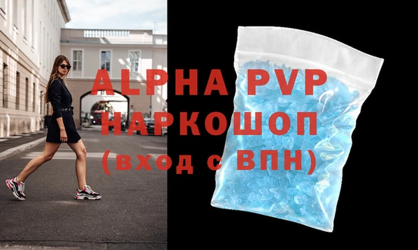 эйфоретик Богданович